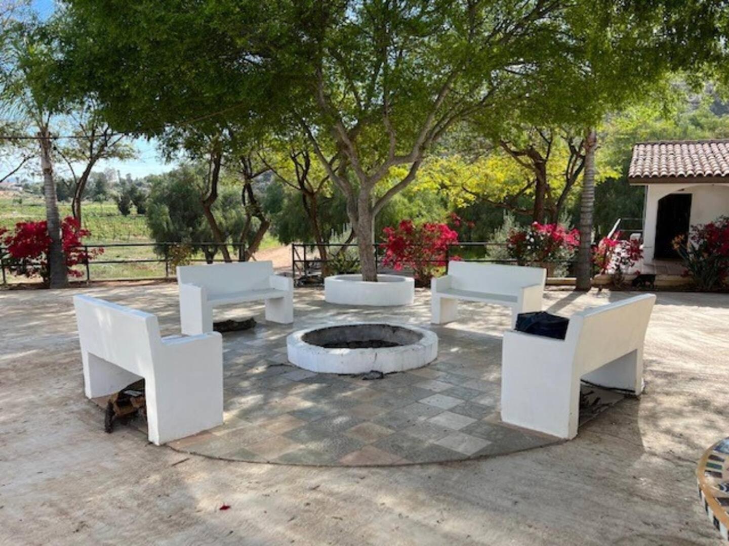 Casa Luna Vinedo Valle de Guadalupe Dış mekan fotoğraf