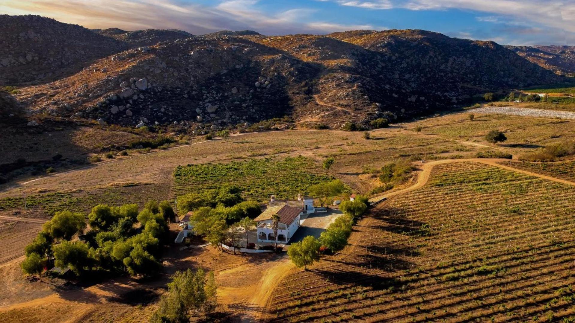 Casa Luna Vinedo Valle de Guadalupe Dış mekan fotoğraf